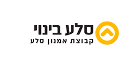 סלע בינוי